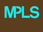 The Original Minneapolis MPLS t-shirt